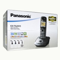 Dect/Gap Panasonic KX-TG2511GRM Silver