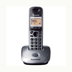 Dect/Gap Panasonic KX-TG2511GRM Silver