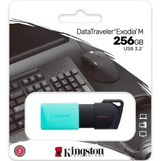 USB 3.2 Kingston Flash Drive Exodia M 256GB